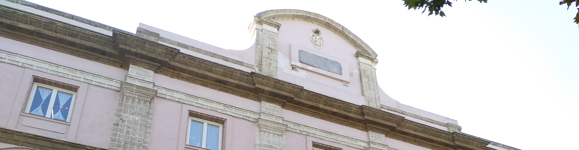 Banner Palacio