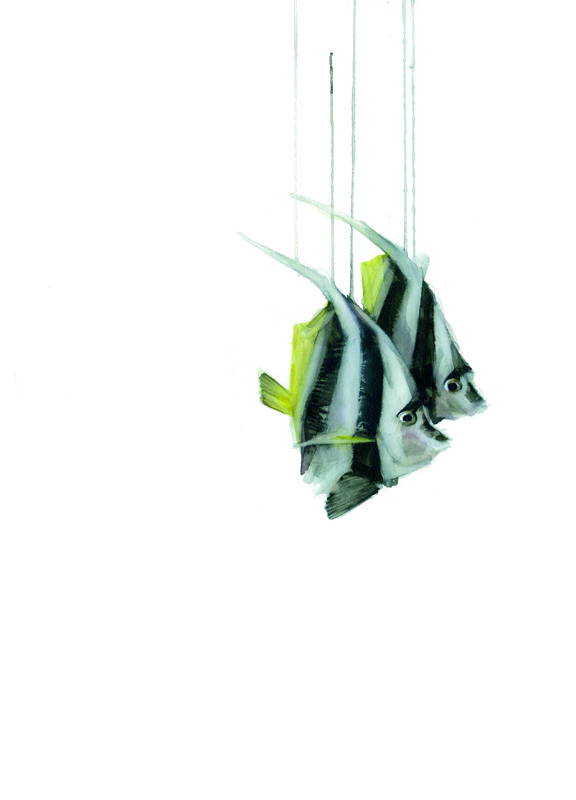 Peces I
