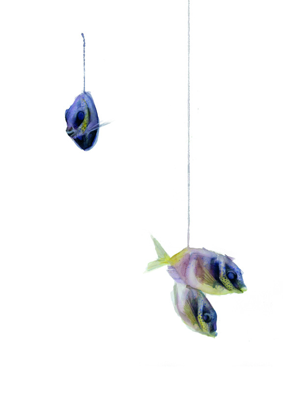 Peces III
