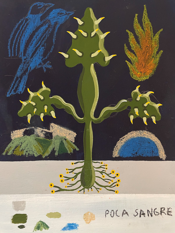 Cactus-poca-sangre2