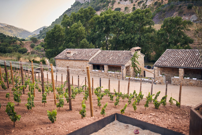 hotel-cueva-gato-exteriores-3