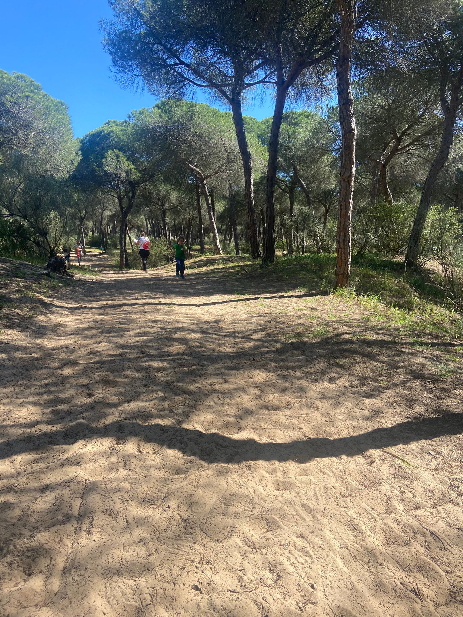 Dunas de San Antón - El Puerto  (101)