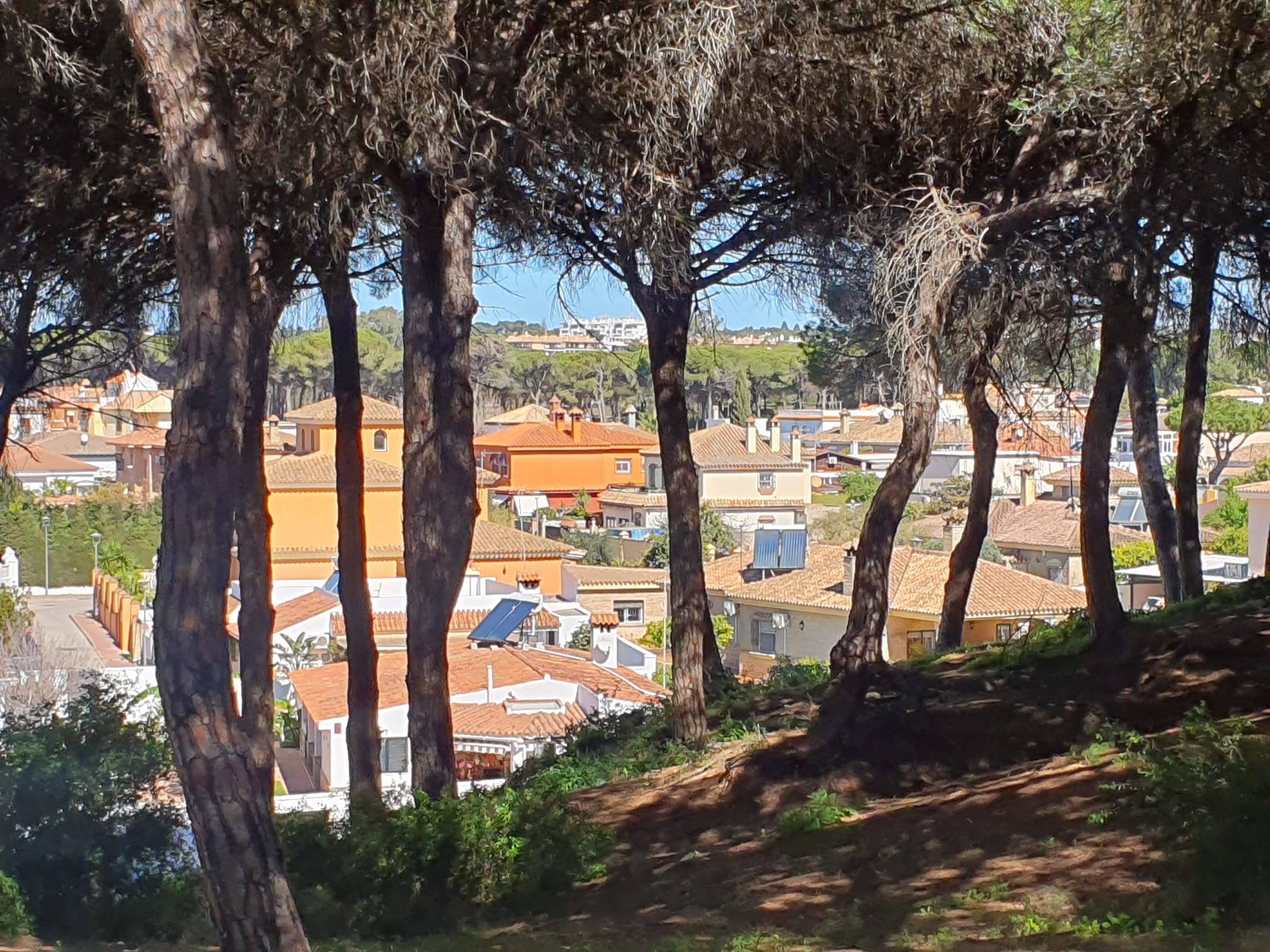 Dunas de San Antón - El Puerto  (124)