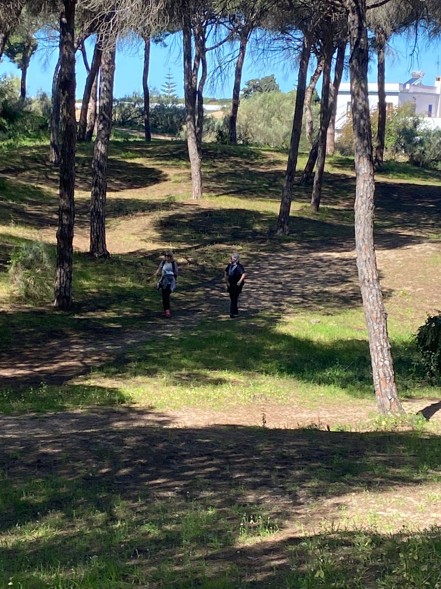 Dunas de San Antón - El Puerto  (129)