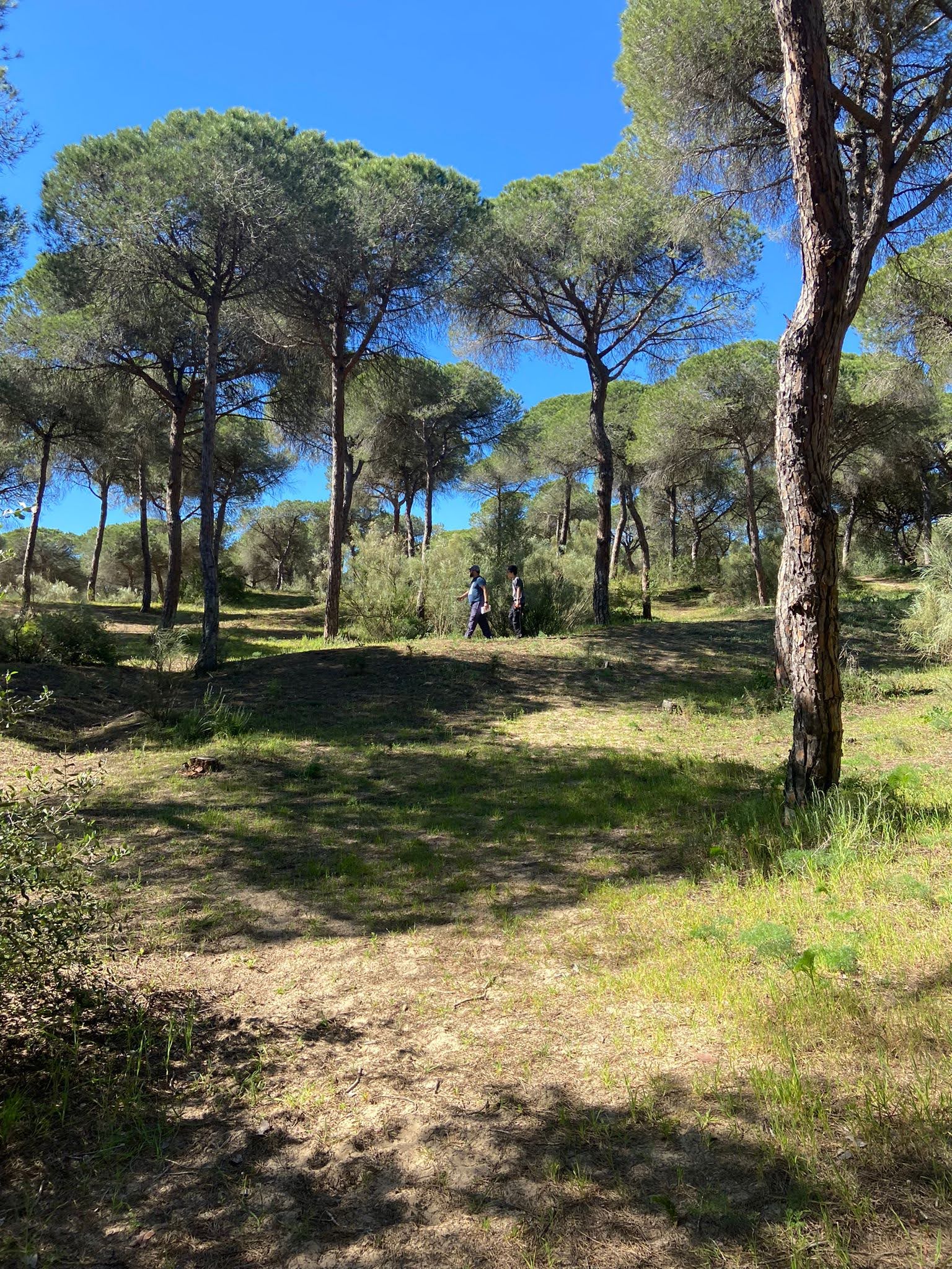 Dunas de San Antón - El Puerto  (130)