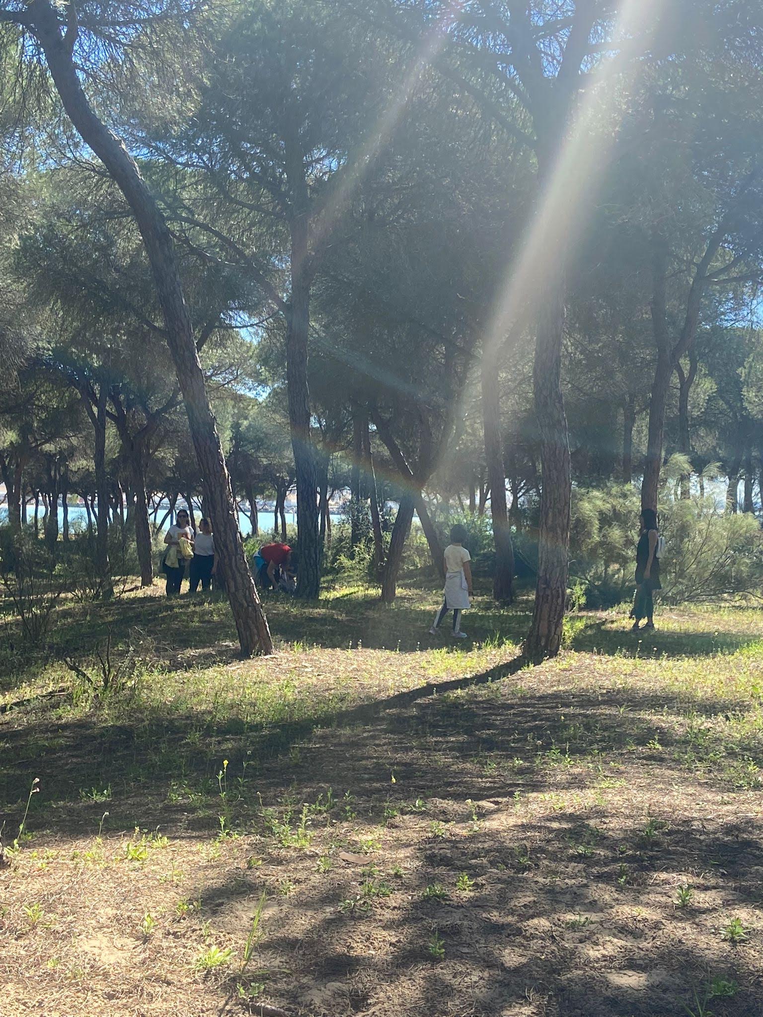 Dunas de San Antón - El Puerto  (131)