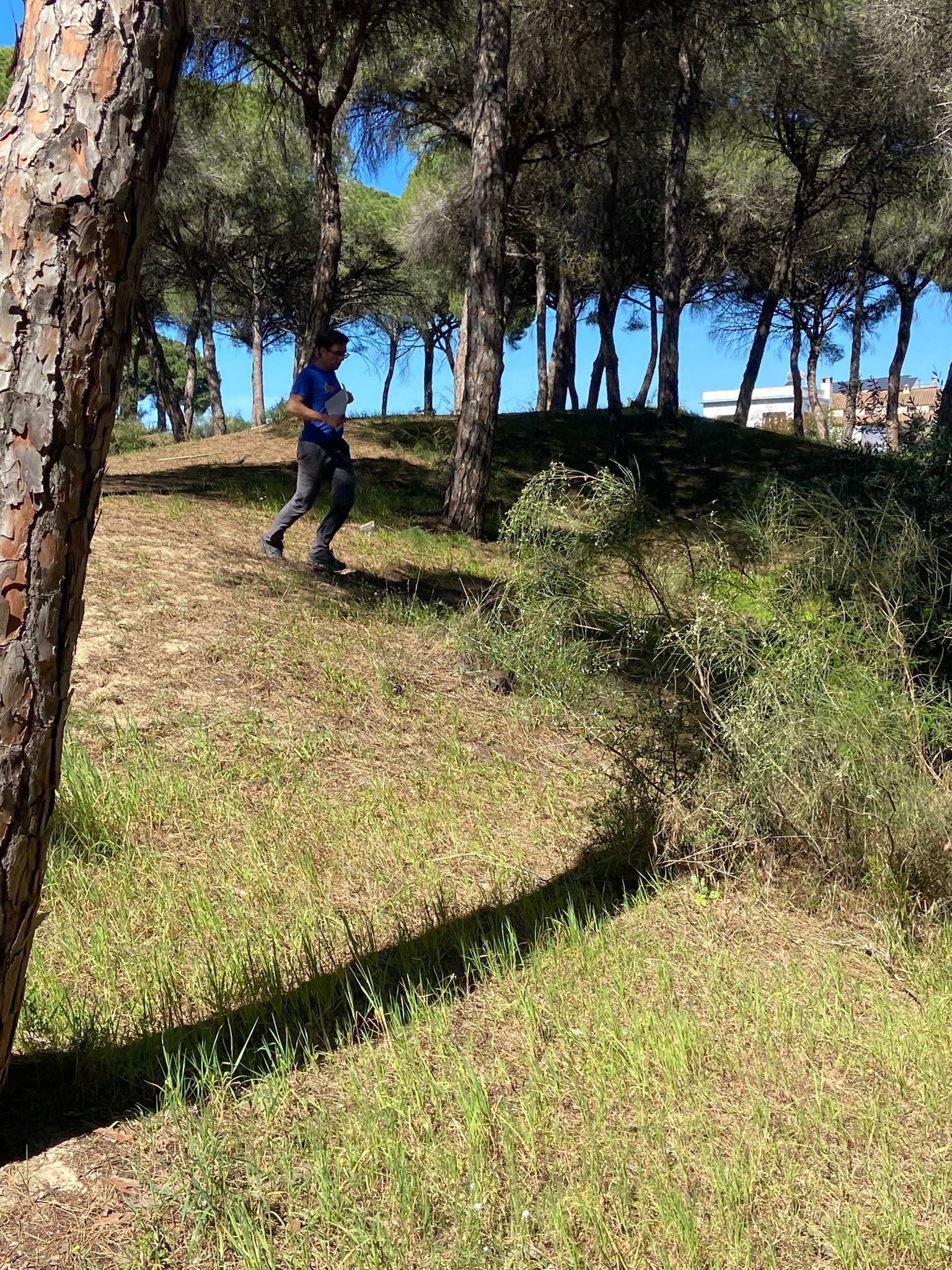 Dunas de San Antón - El Puerto  (136)