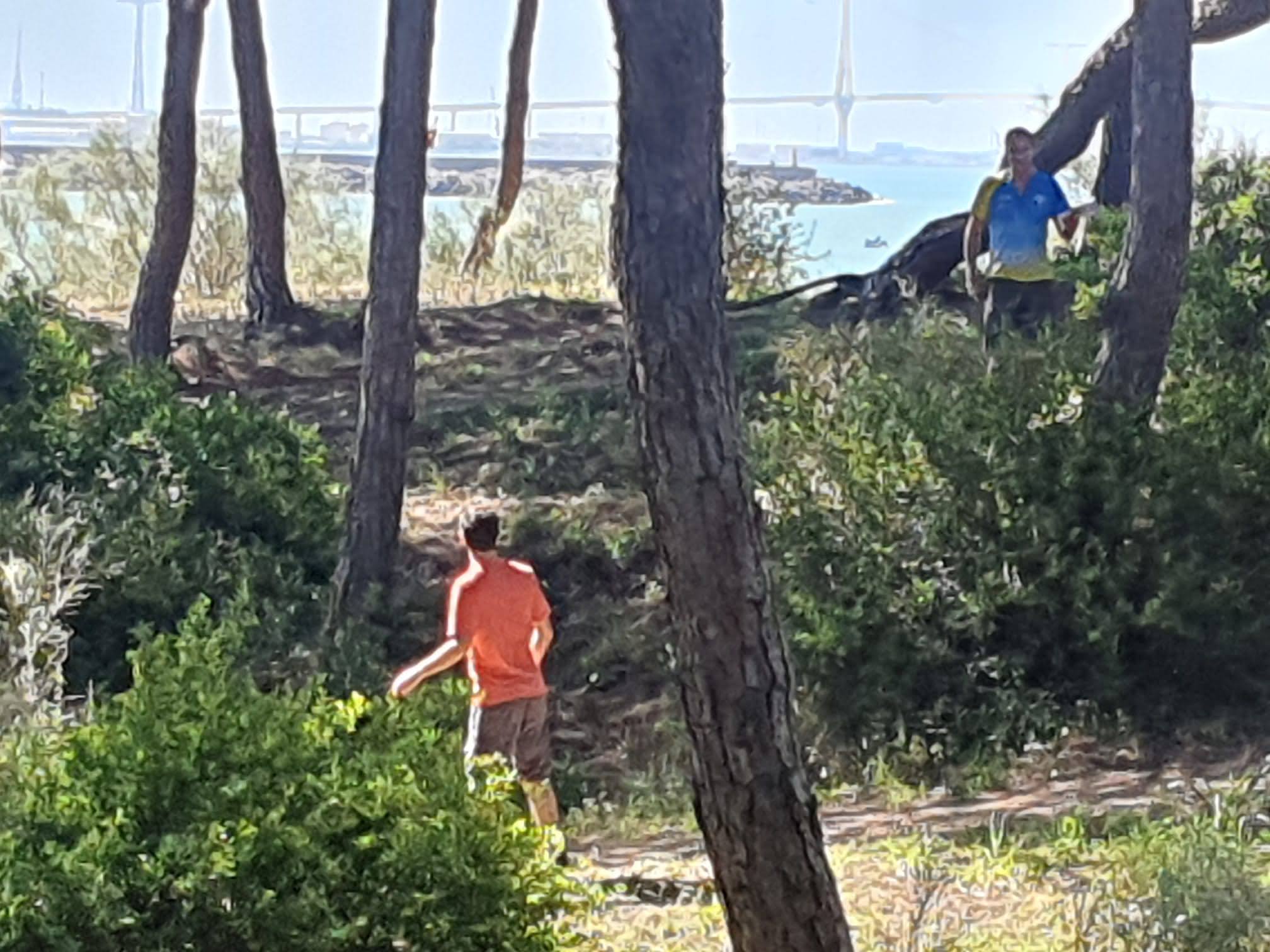 Dunas de San Antón - El Puerto  (161)