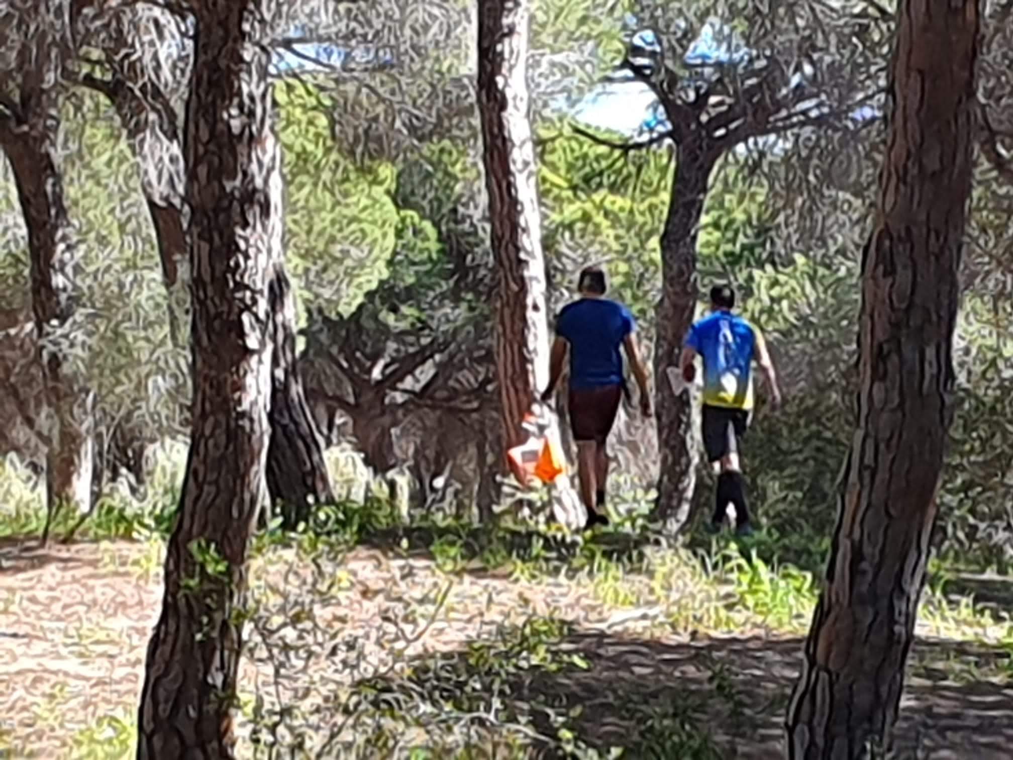 Dunas de San Antón - El Puerto  (247)