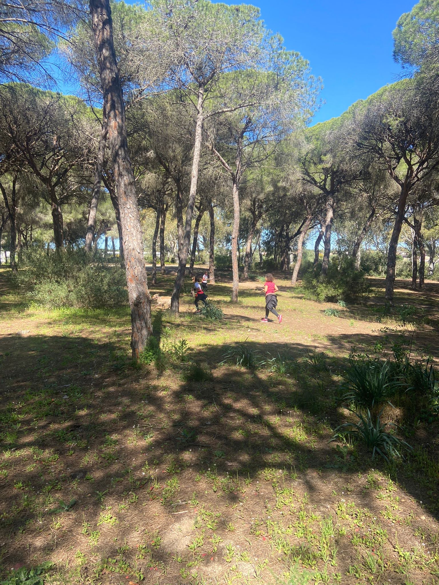 Dunas de San Antón - El Puerto  (94)