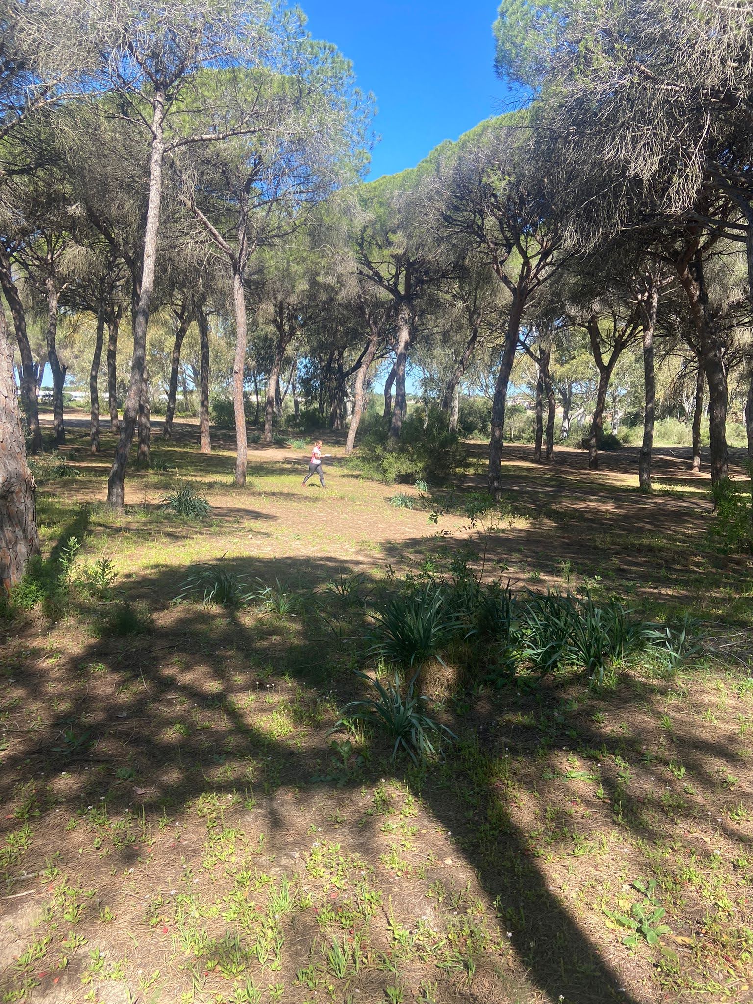 Dunas de San Antón - El Puerto  (95)
