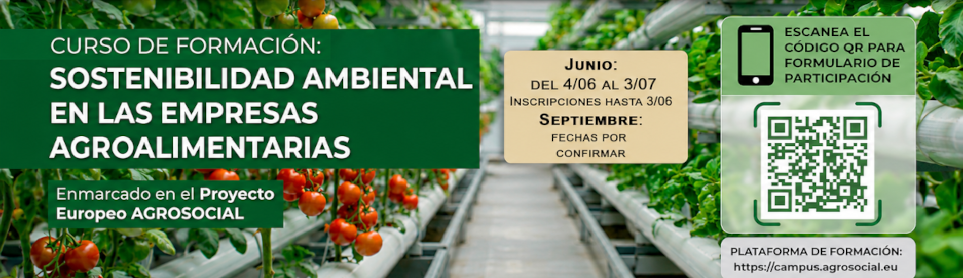 H Curso_Sostenibilidad_ES_1900 550 H Curso_Sostenibilidad_ES_1900 550