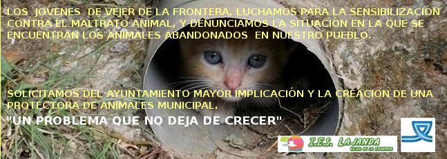 gatito en tubo