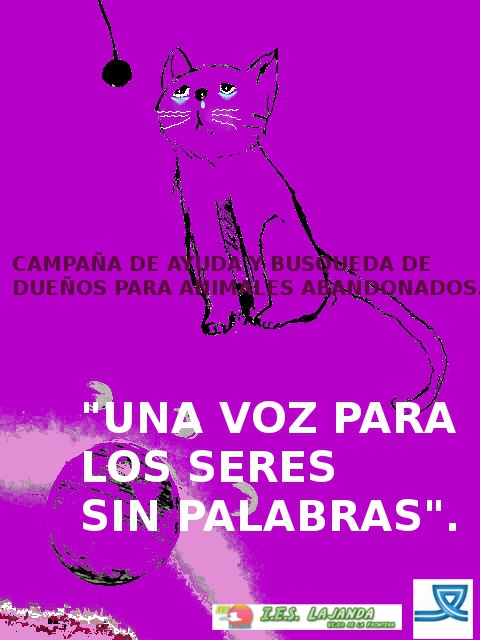 gatitochapa