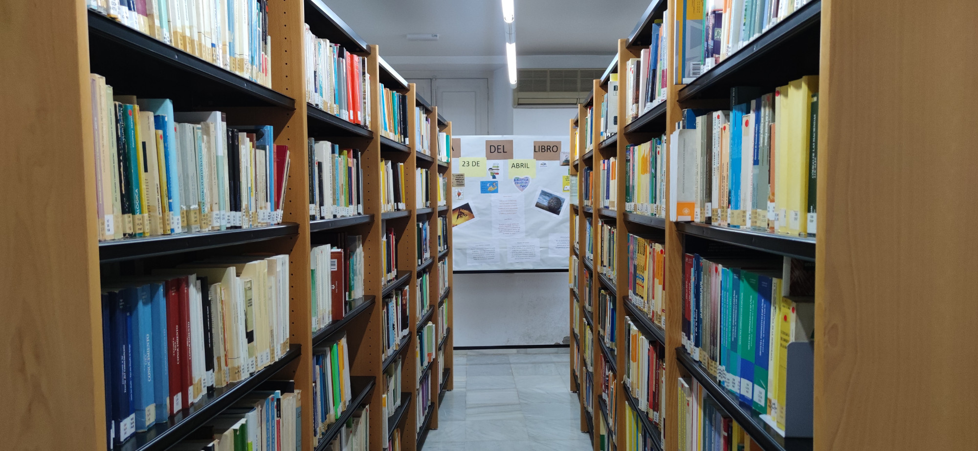 biblioteca UNED Cádiz