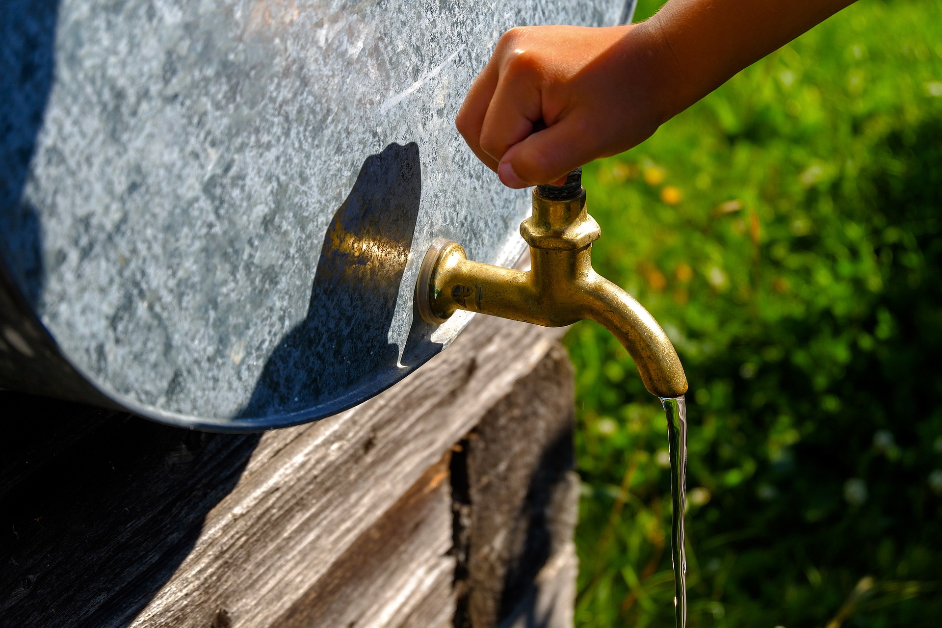 grifo agua