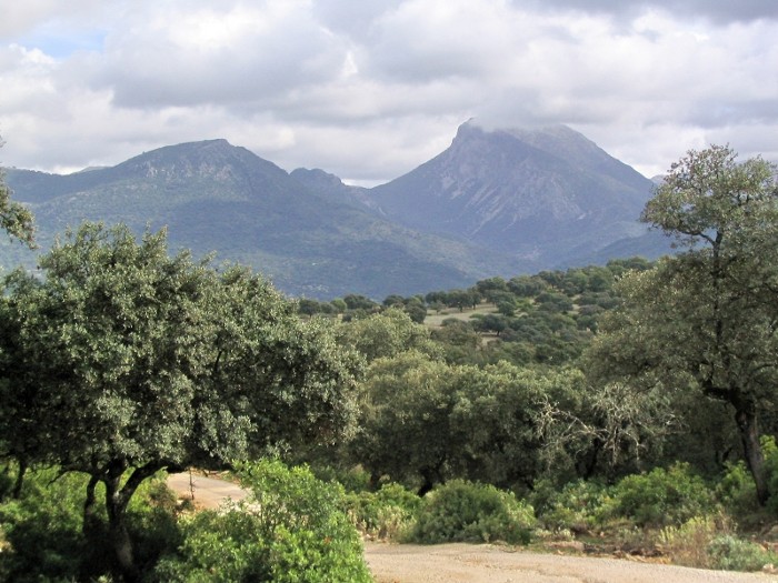 sendero