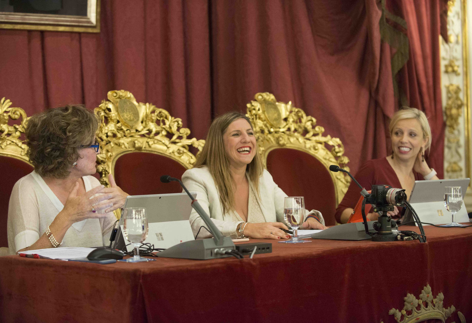 Pleno de organizacion_preside Irene Garcia