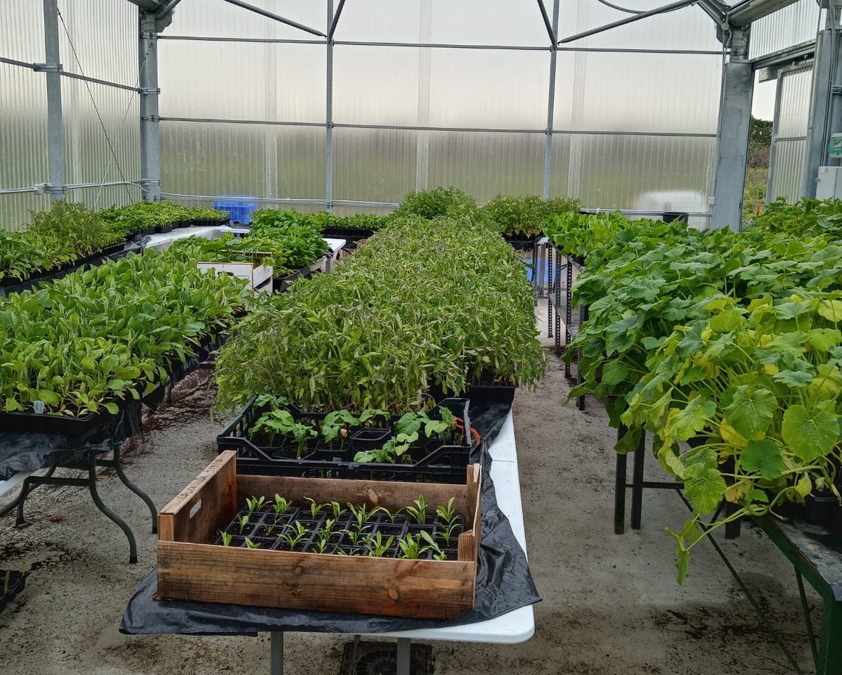 Vivero de la Diputación en Jerez