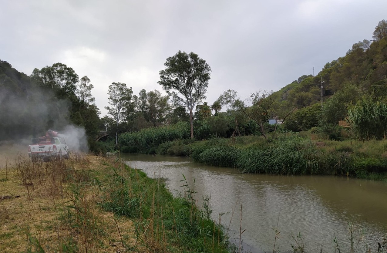 Fumigación contra mosquitos 1