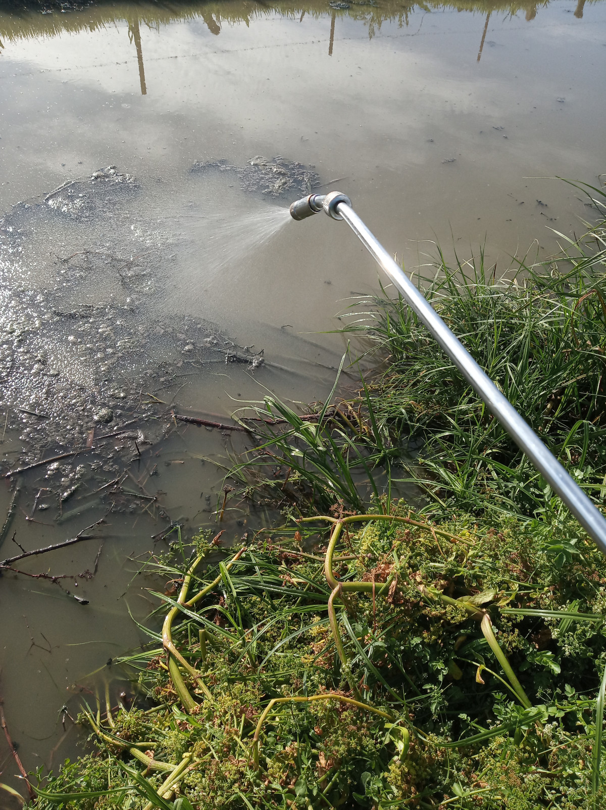 tratamiento frente a mosquitos en canal de Vejer tratamiento frente a mosquitos en canal de Vejer