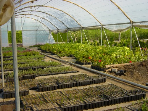 02.vivero-villamartin