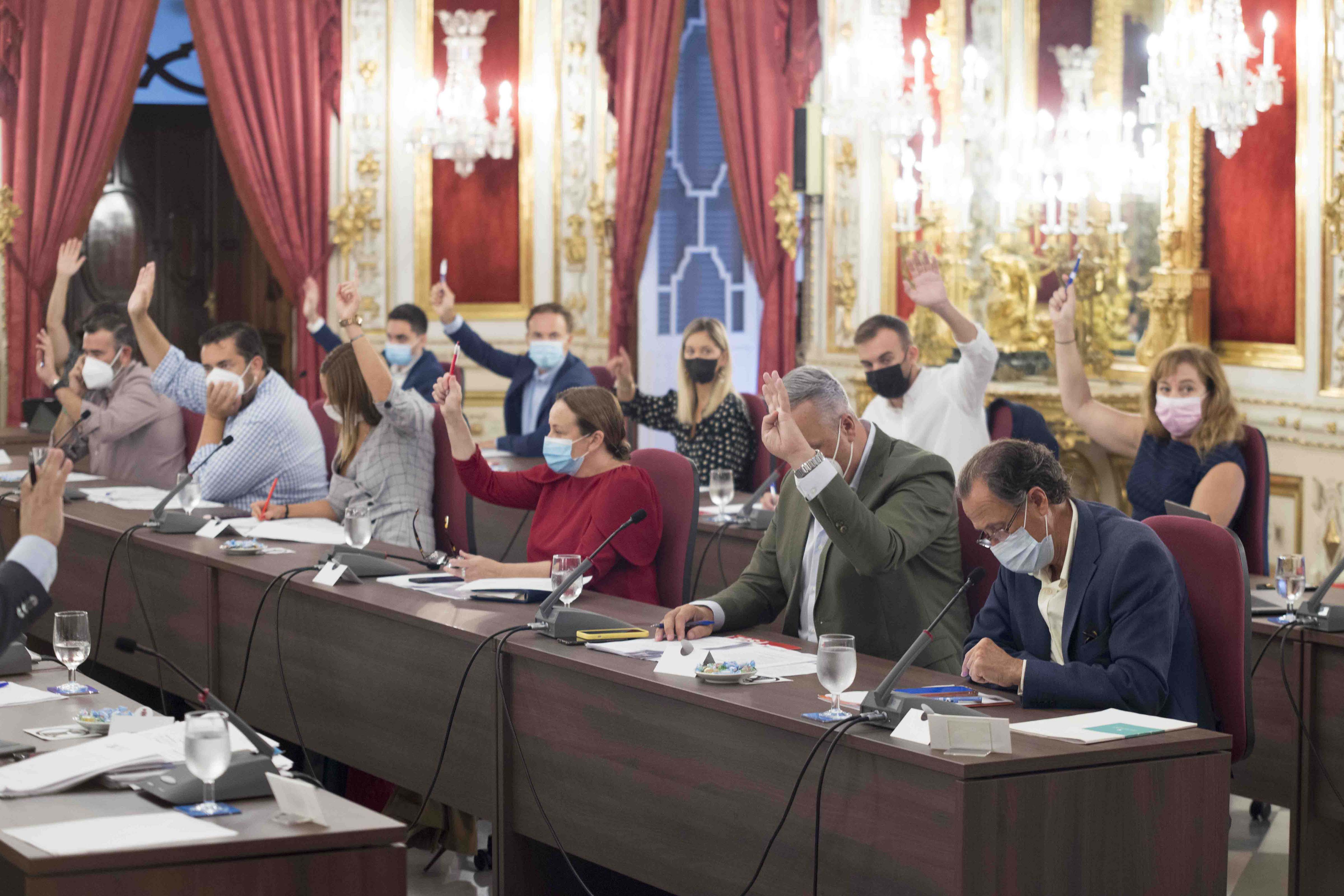 Votación en el Pleno ordinario