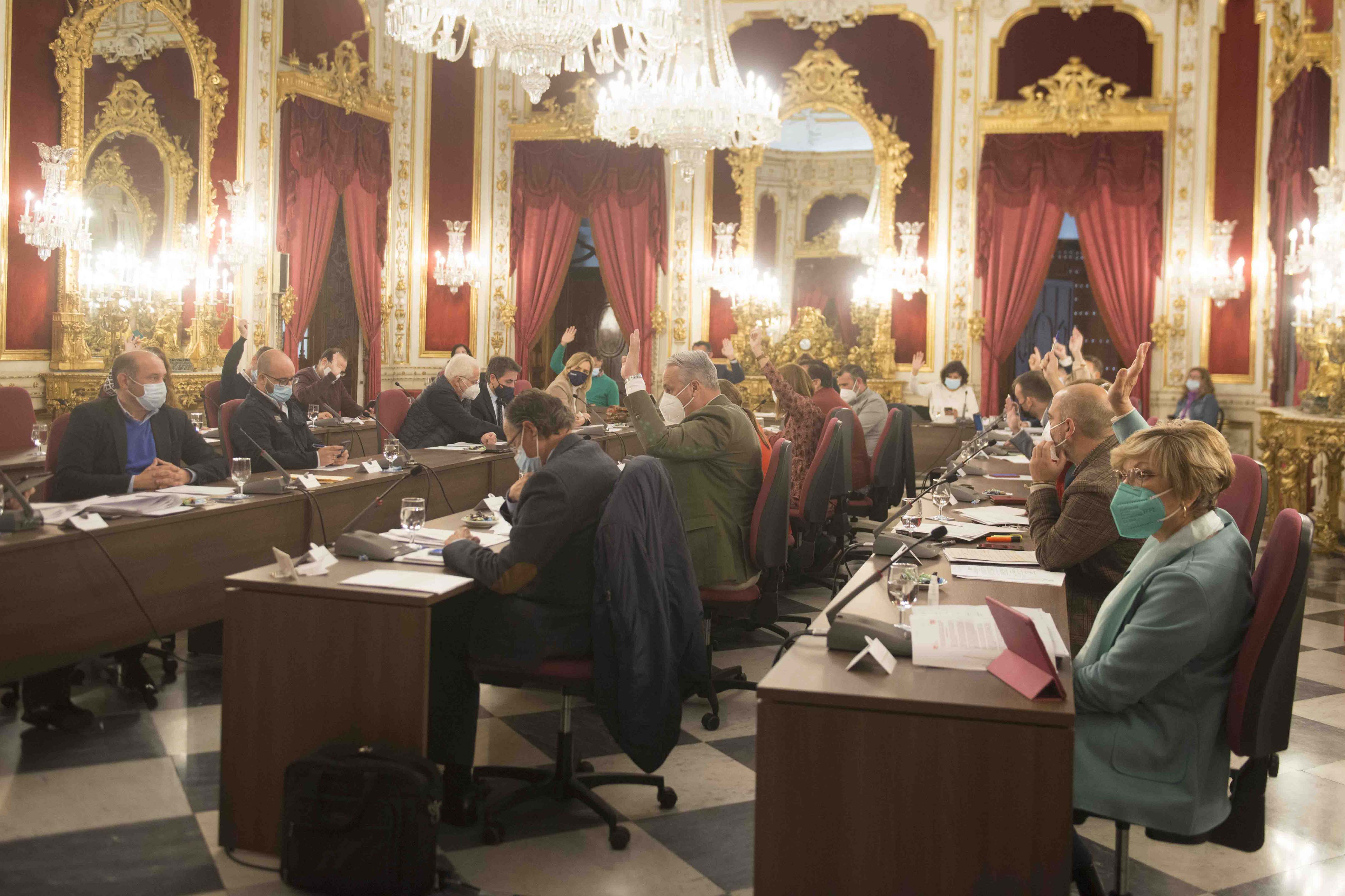 Votación en el Pleno ordinario de la Diputación