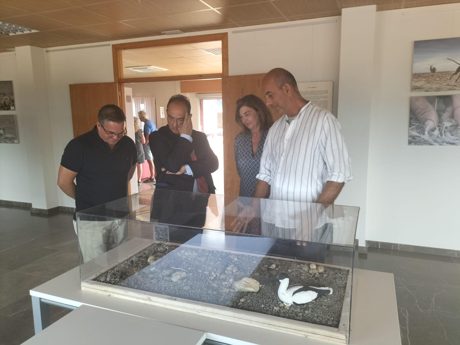 Inauguración de la exposición sobre el chorlitejo patinegro en Chiclana