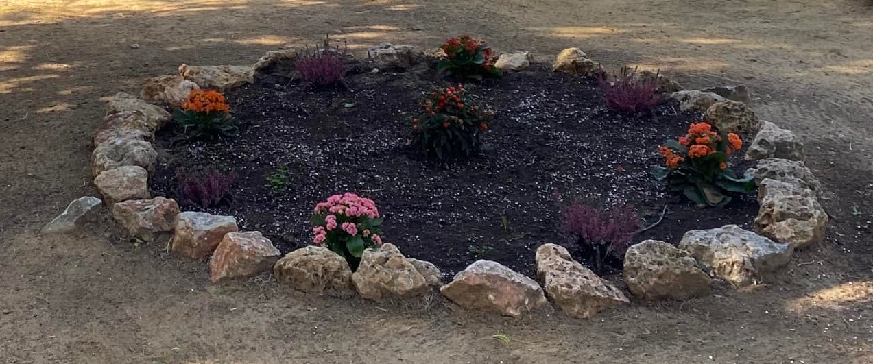 lugar del cementerio de Villamartin donde se llevara a cabo la exhumacion
