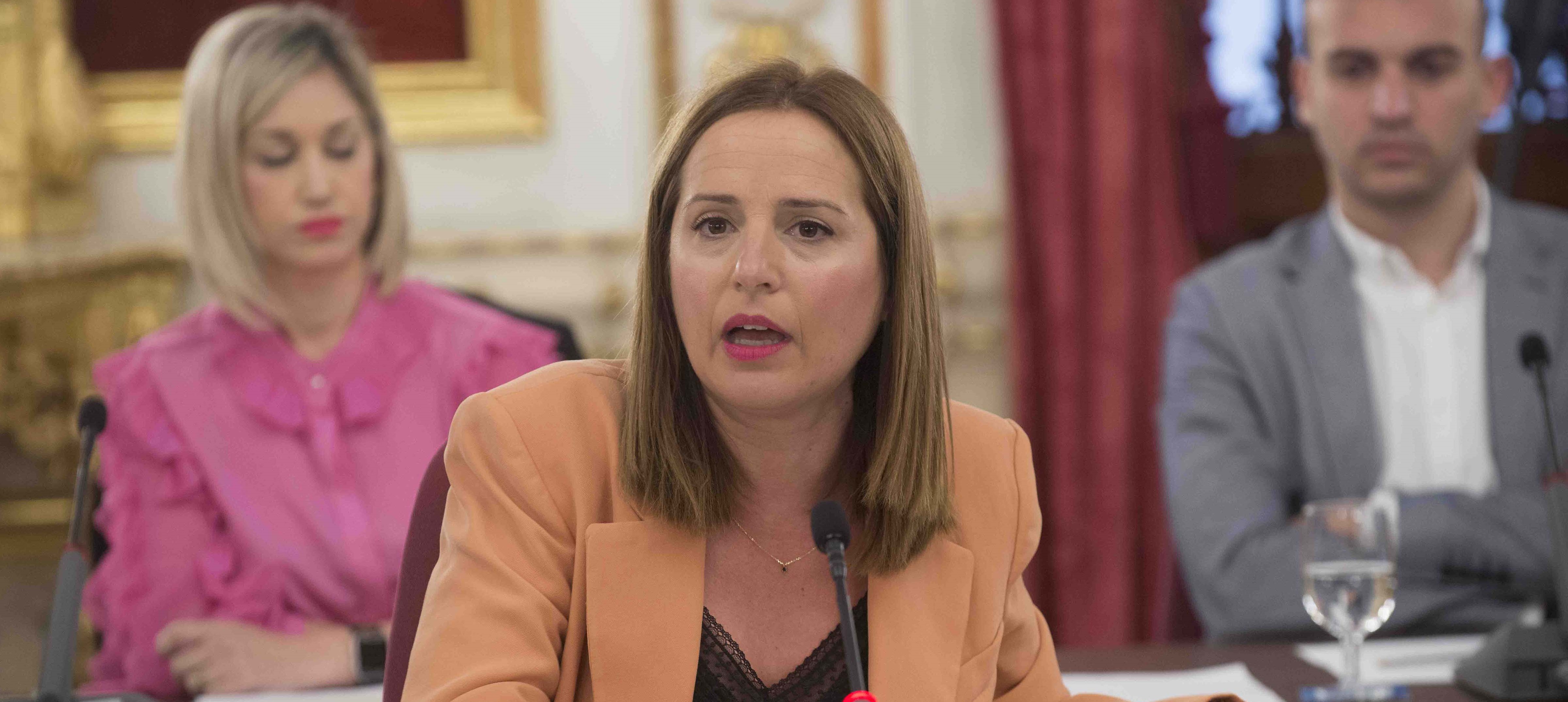 Ana Carrera interviene en la sesión plenaria recorte