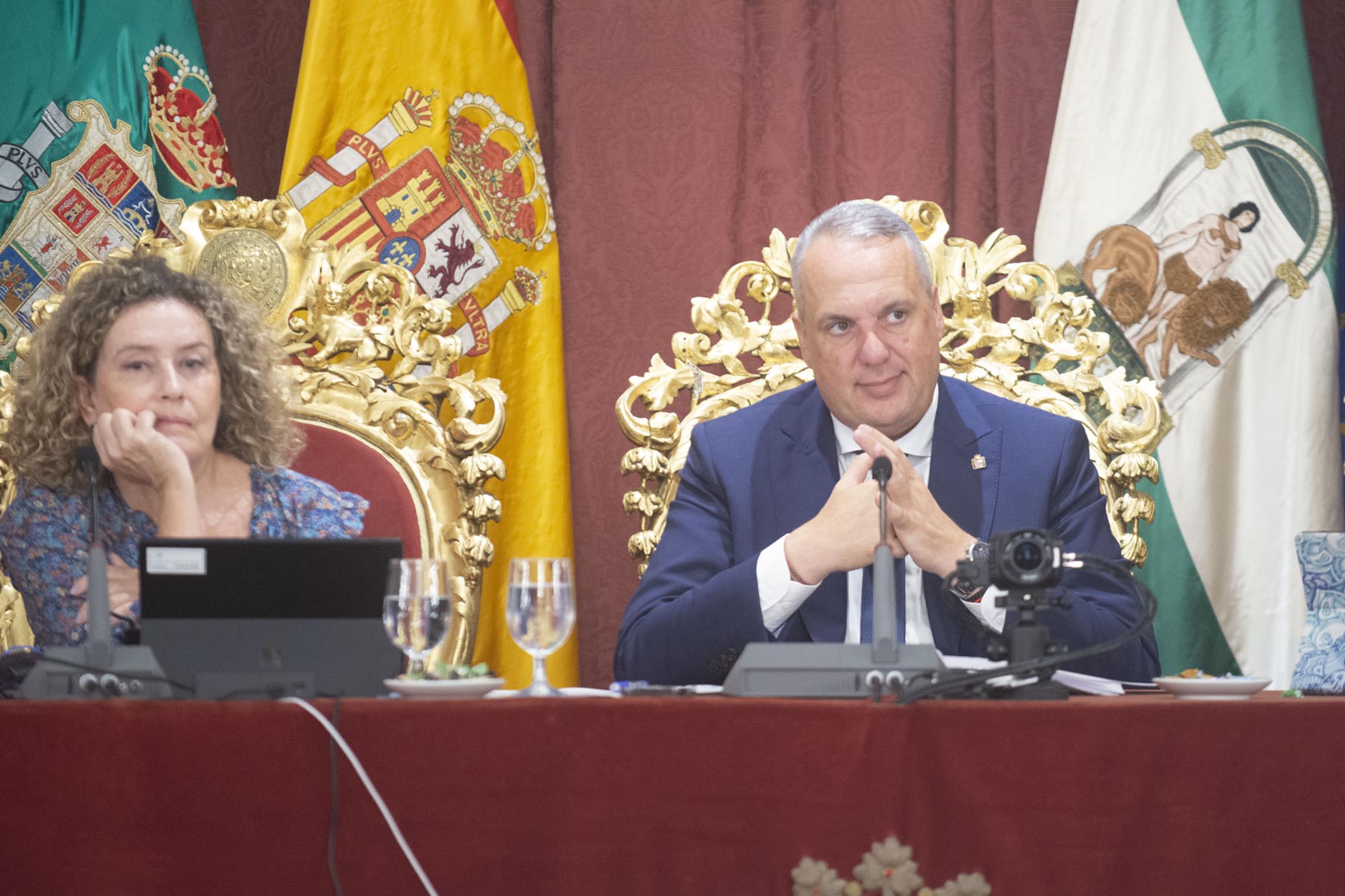 pleno presidente