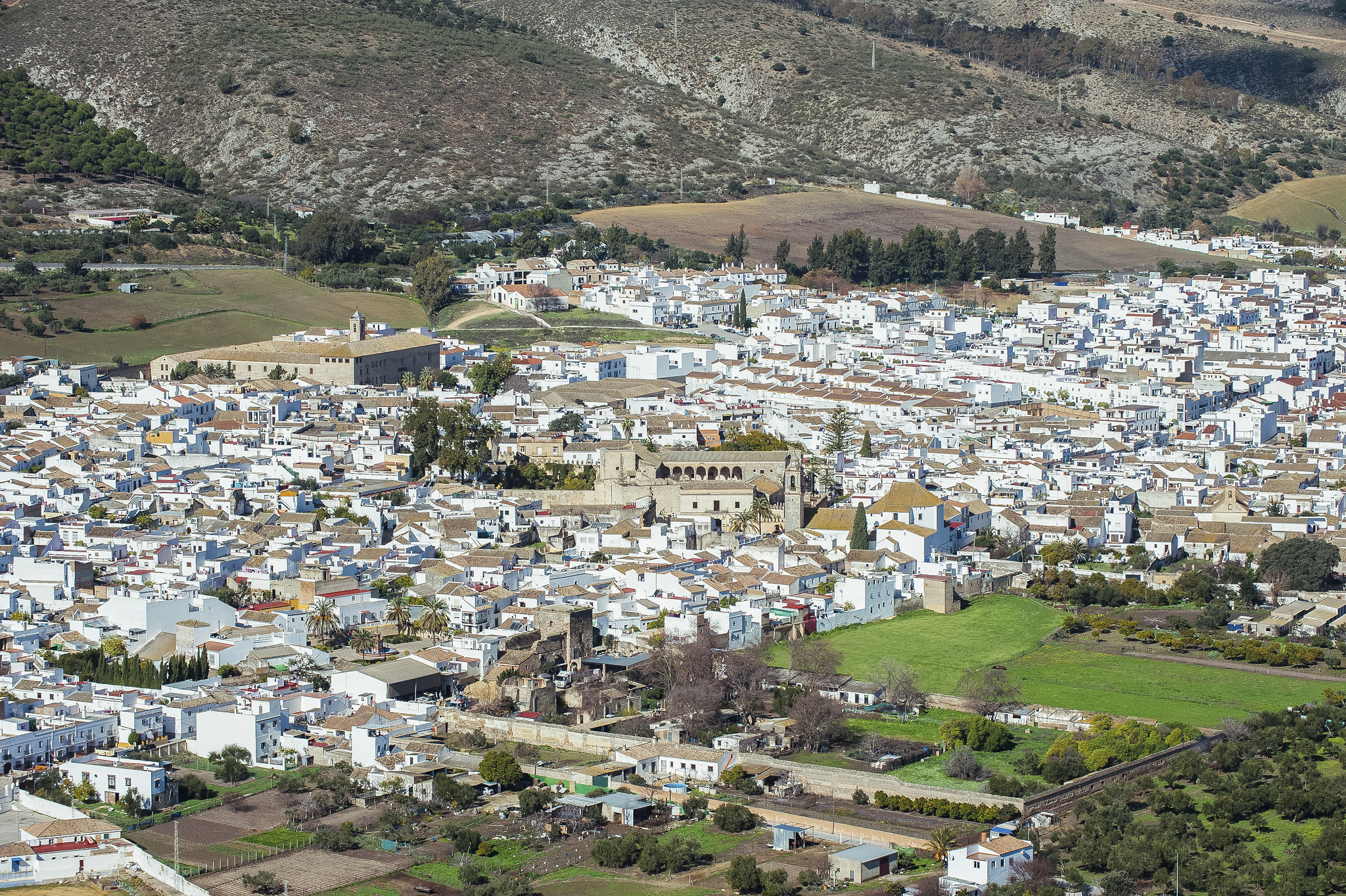 Bornos