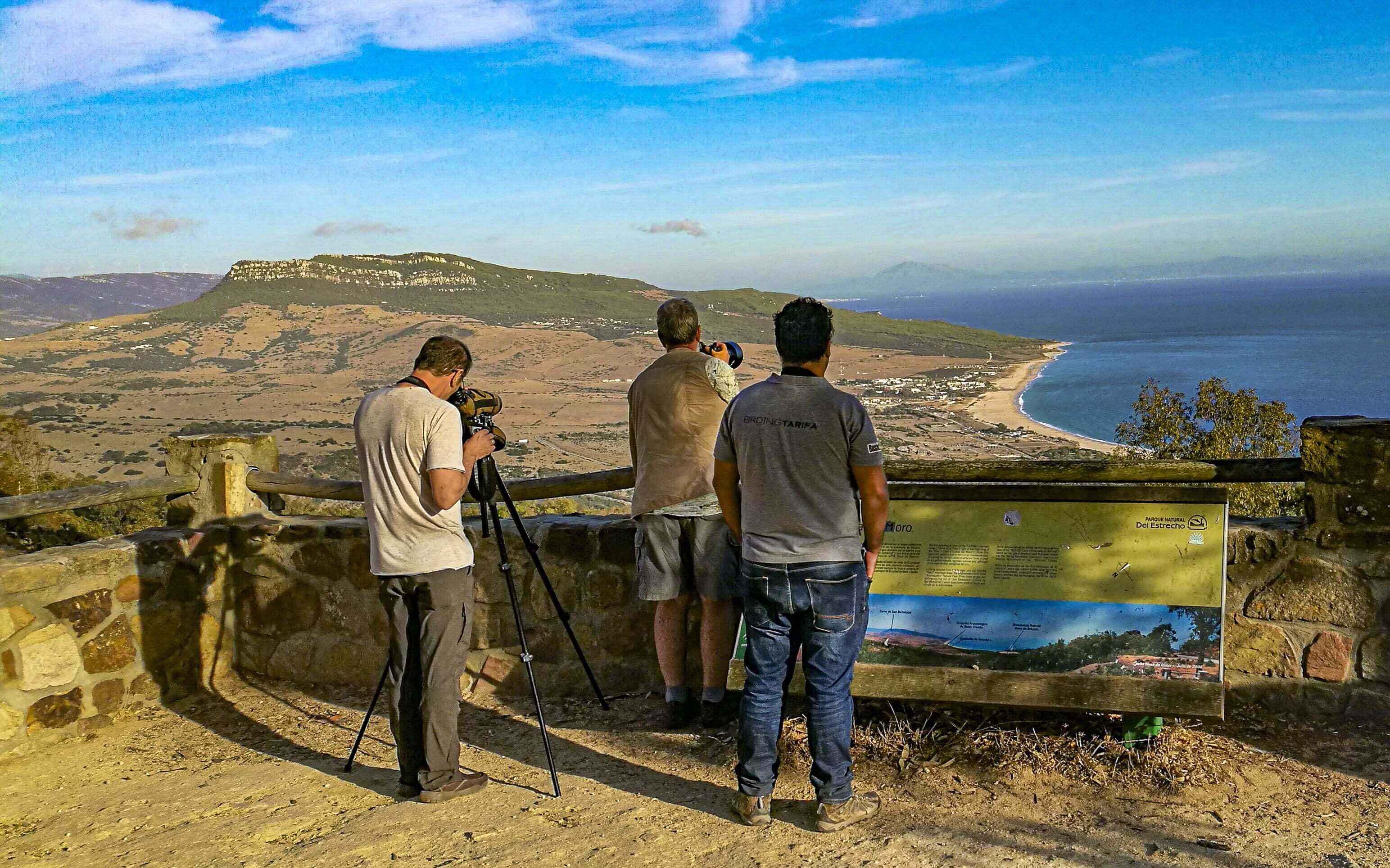 BirdingCadizFamTrip2019-3