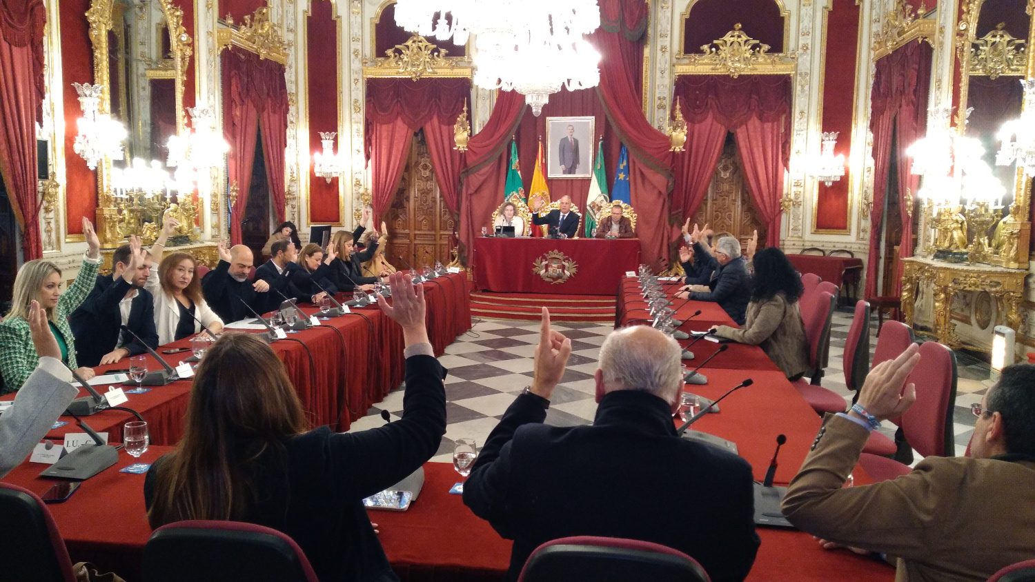 El Pleno aprueba las distinciones del dia de la provincia