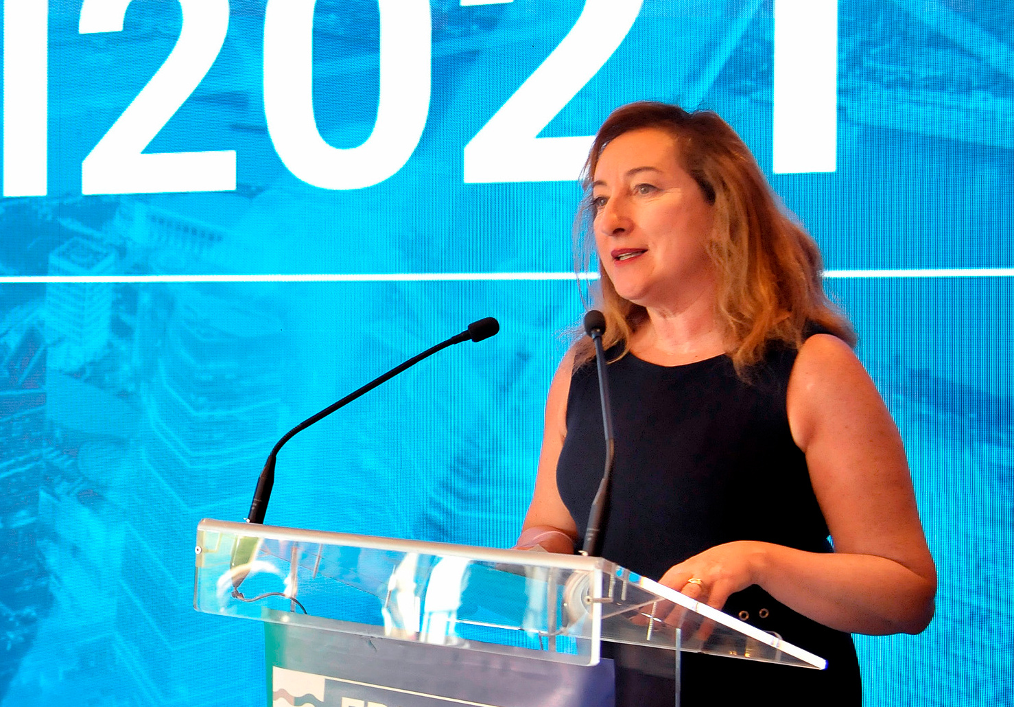 La diputada Isabel Gallardo en un foro sobre territorios inteligentes celebrado en Jerez_foto de archivo