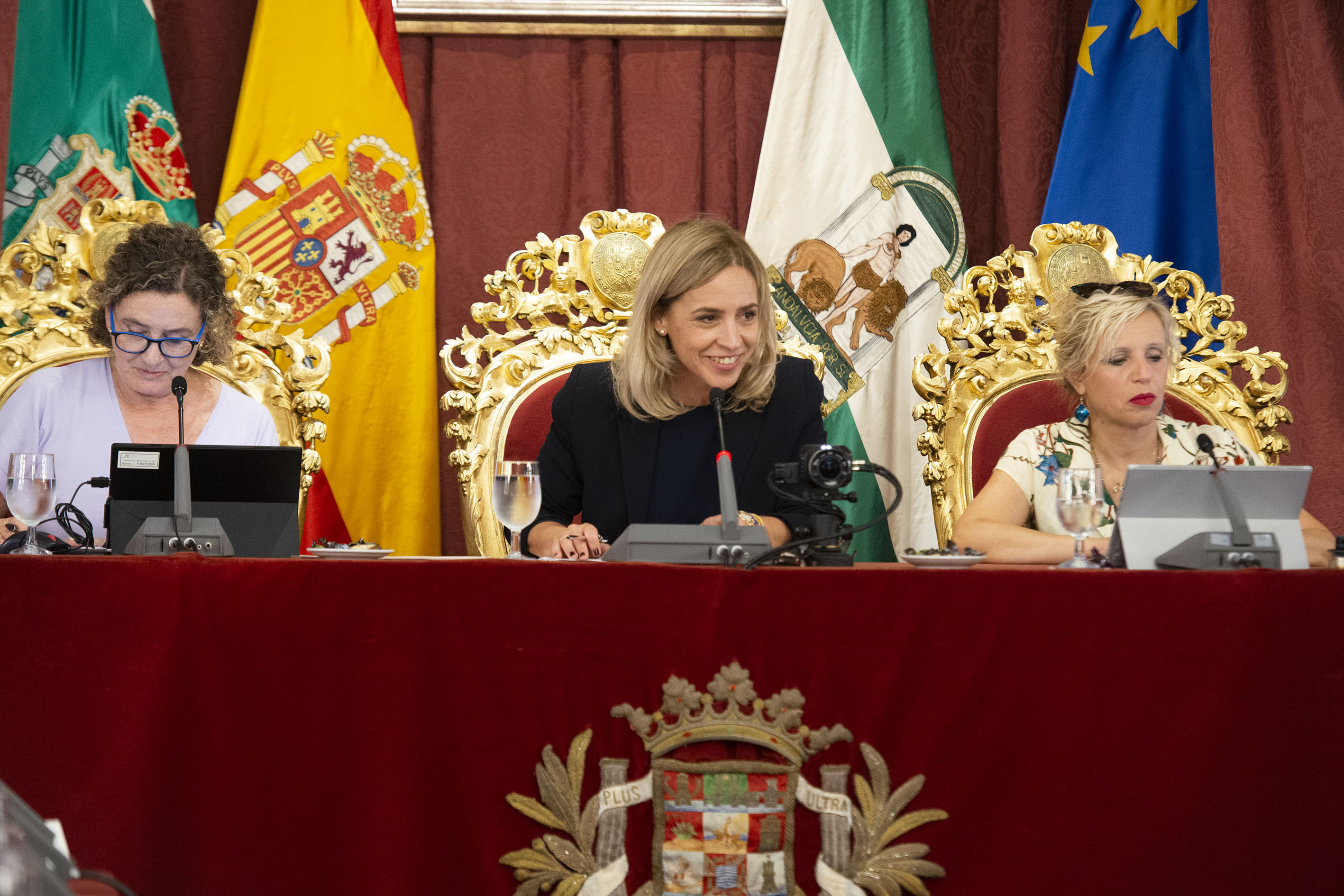 Pleno de organizacion presidido por Almudena Martinez