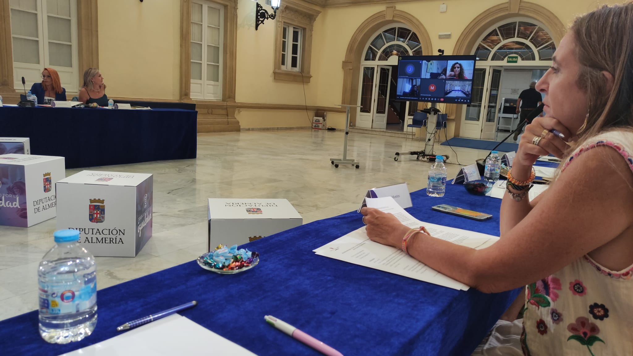 diputada telematicamente