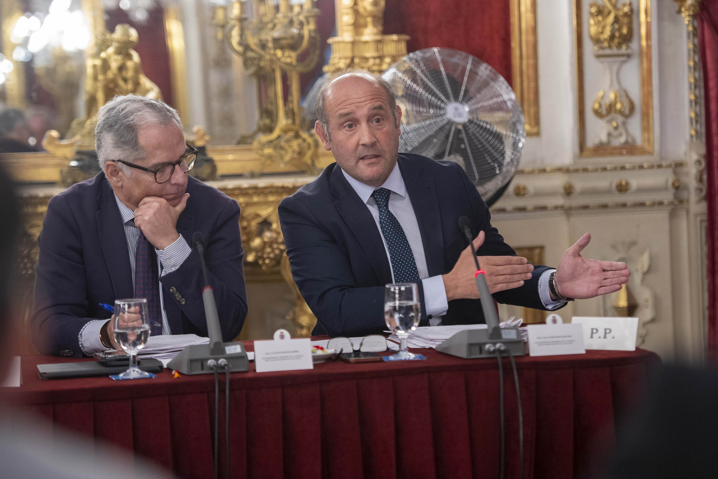 Juancho Ortiz en el Pleno (1)