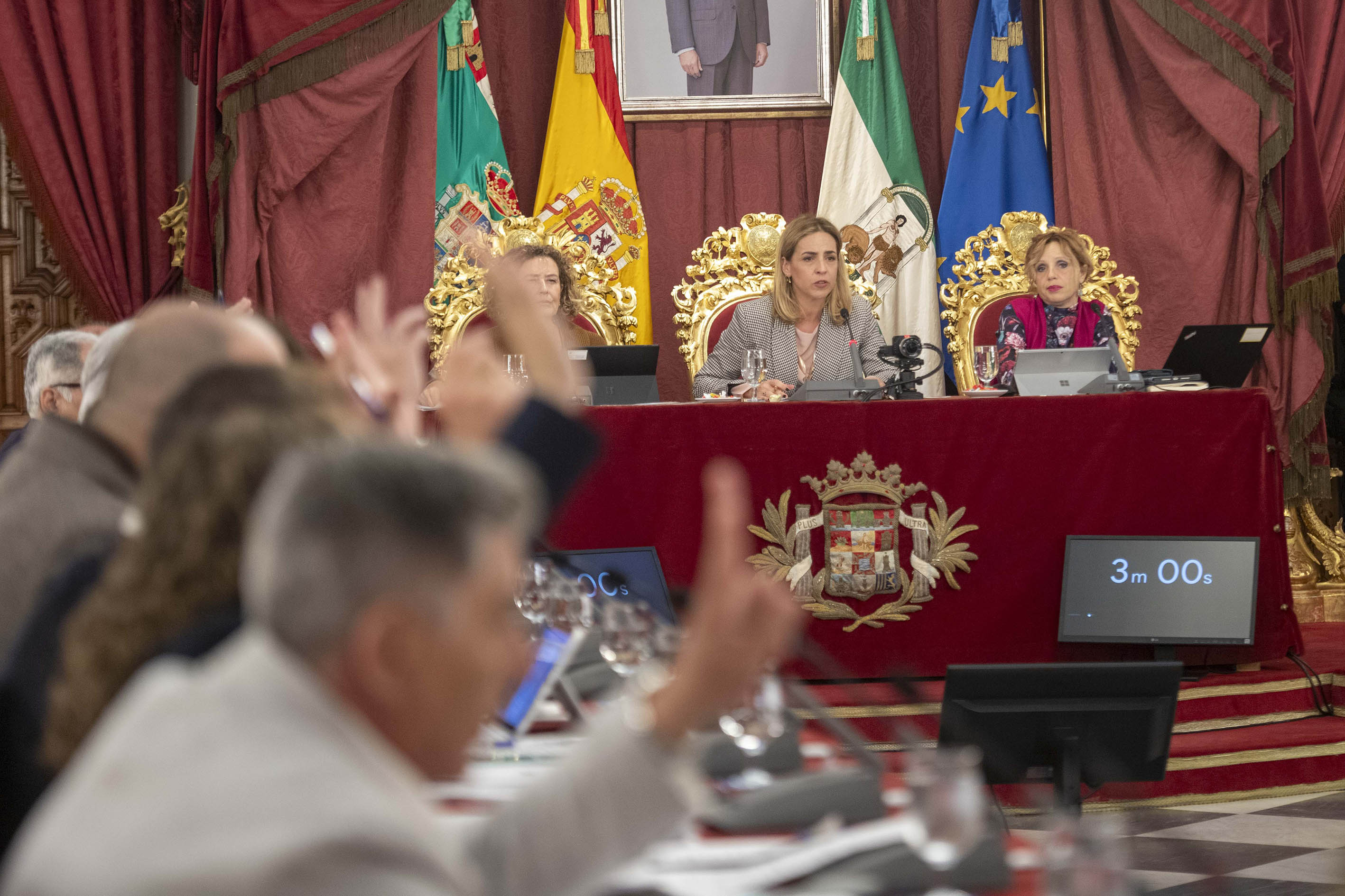 Pleno ordinario de noviembre de 2023