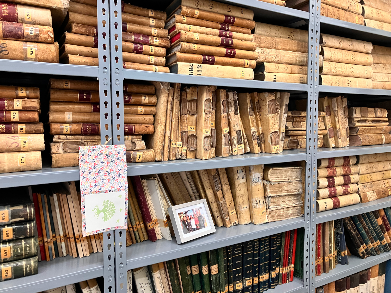 estantes del archivo de Diputacion