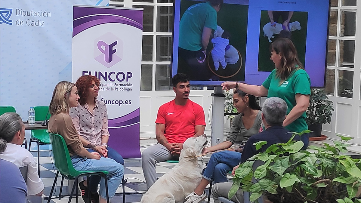 Una de las jornadas celebradas en la Diputación de Cádiz