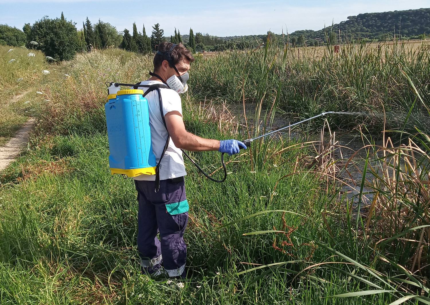 tratamiento para controlar mosquitos en La Janda