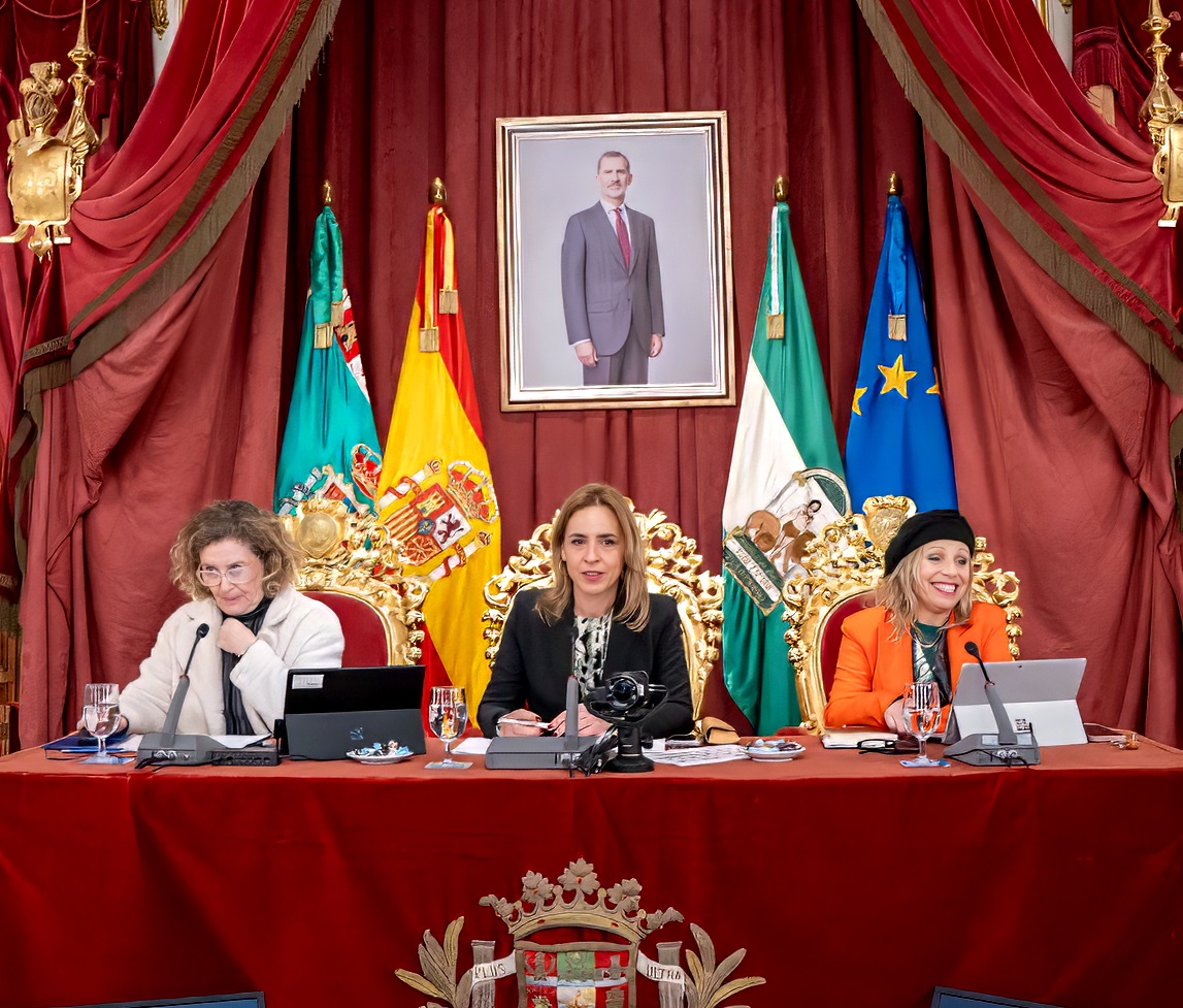 Almudena Martínez, en el Pleno de aprobación definitiva de los presupuestos de la Diputación