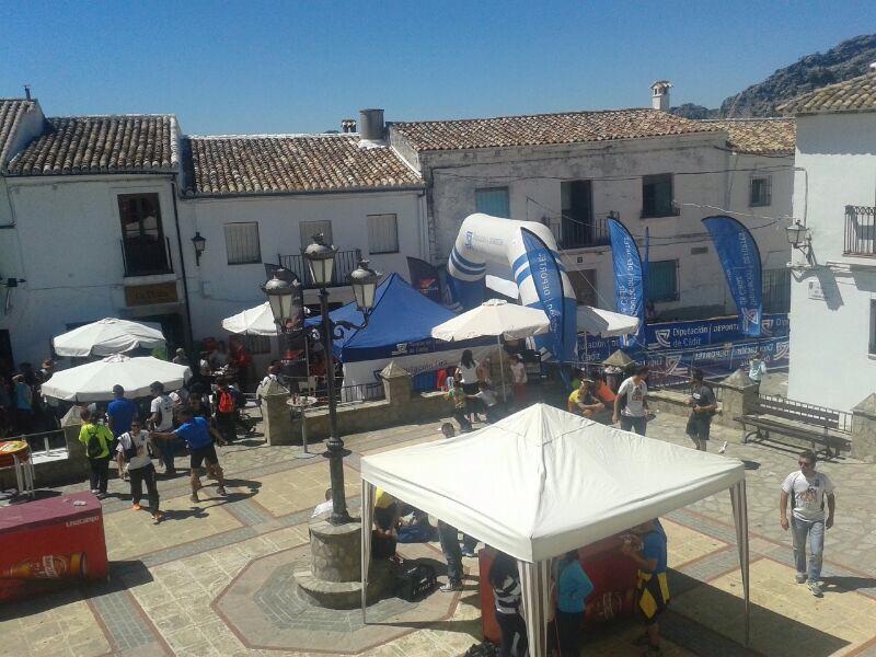 Zona de servicios