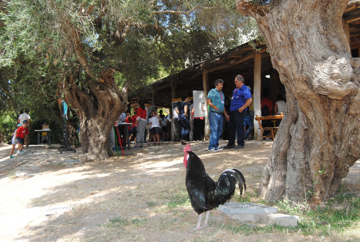 Rancho Cortesano