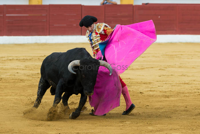 final en La Linea_toros