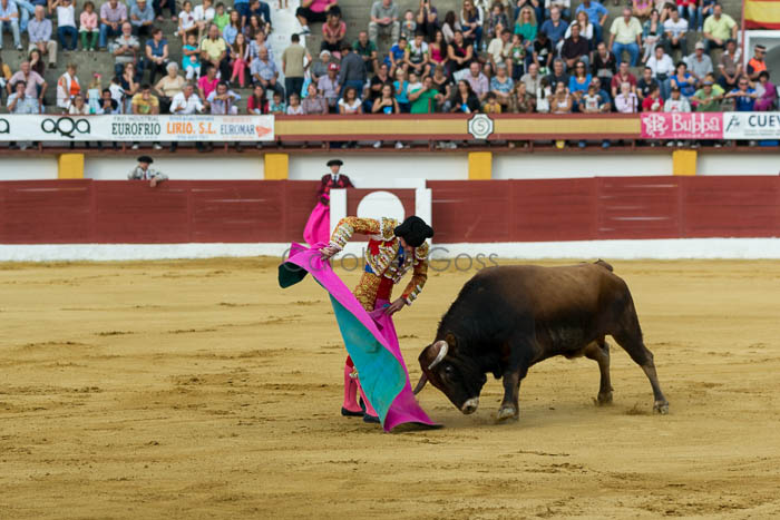 gran final del porgrama de fomento de la cultura taurina