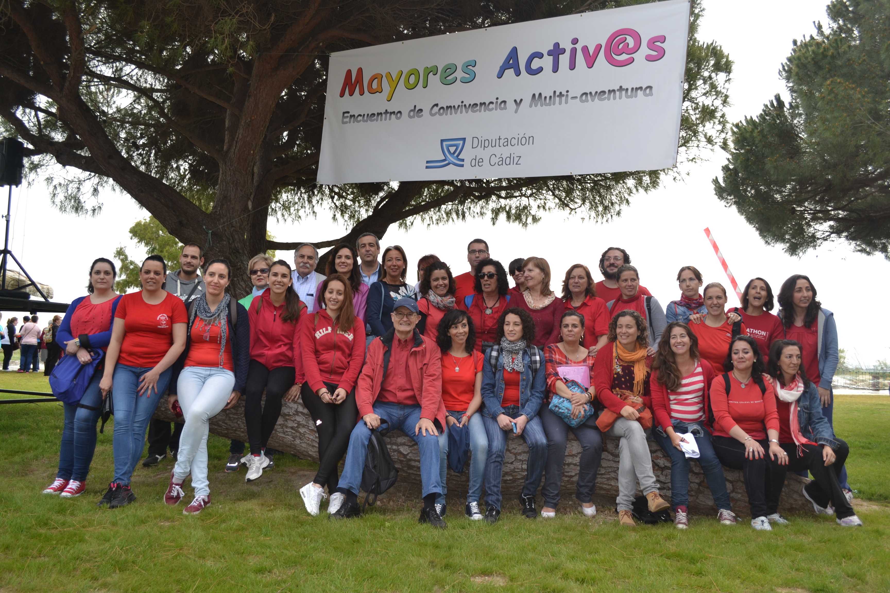 mayores activos 3