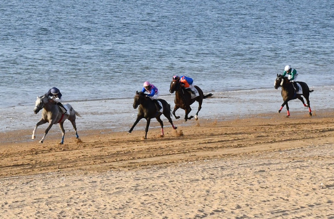 Carrera Gran Premio Diputación (2)